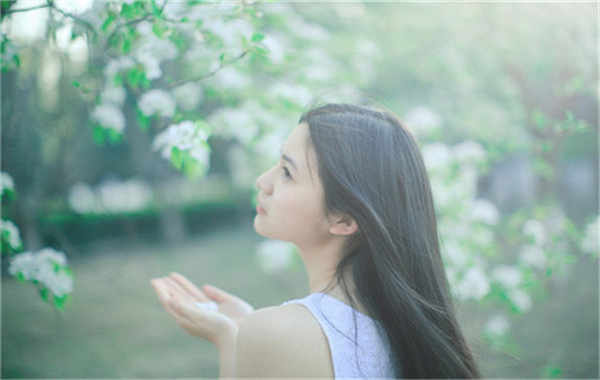 梨树验血查男女几周可以验(验血查男女结果图)